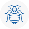 Bed Bug Extermination In Deddington