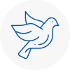 Bird Prevention Deddington
