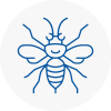 Deddington Hornet Nest Removals