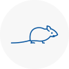 Mice Exterminators In Deddington