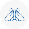 Moth Control Specialists In Deddington