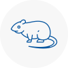 Rat Control Deddington
