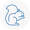 Deddington Rodent Removals