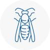 Deddington Wasp Nest Removal